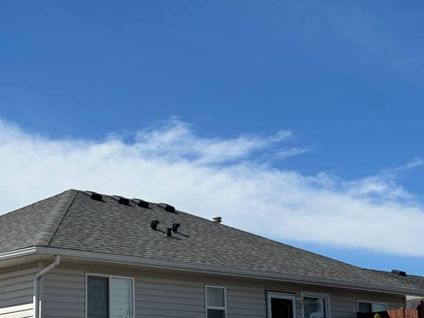 Best Cold Roofs  in South Deerfield, MA